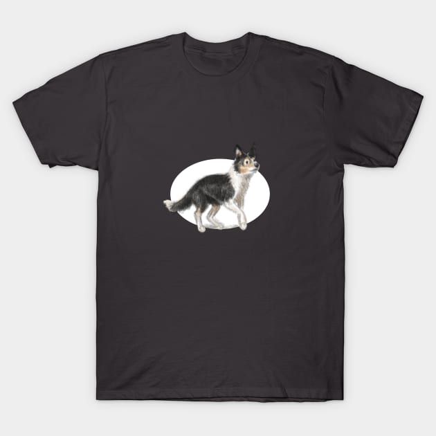 Collie Dog T-Shirt by Elspeth Rose Design